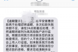 惠州惠州专业催债公司的催债流程和方法